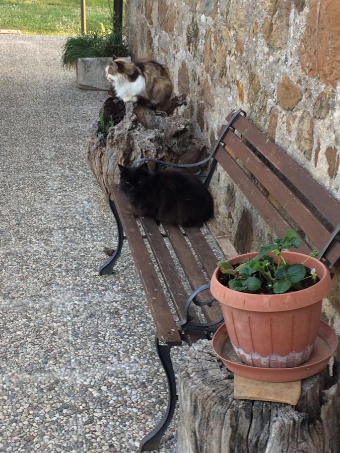 Casetta Tartuchino Semproniano Bagian luar foto