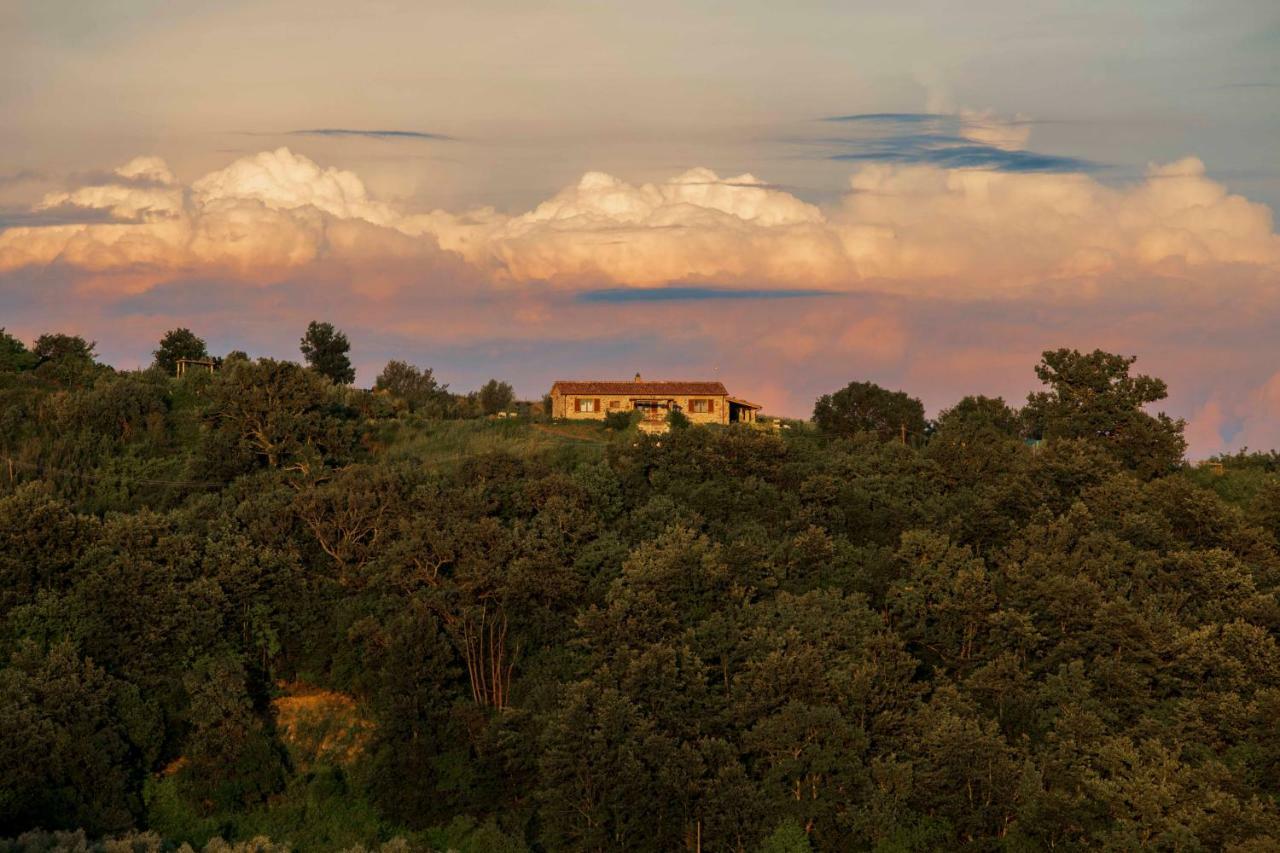 Casetta Tartuchino Semproniano Bagian luar foto